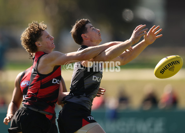 AFL 2025 Training - Essendon 090425 - A-2161642