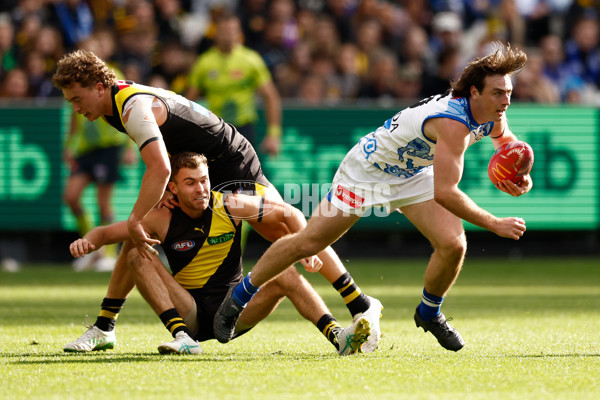 AFL 2025 Round 10 - Richmond v North Melbourne - A-2161677