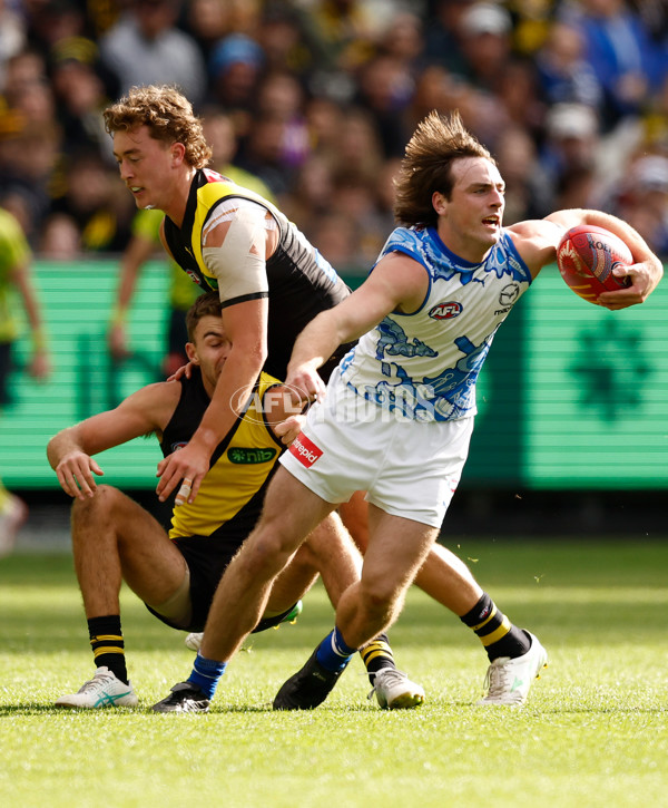 AFL 2025 Round 10 - Richmond v North Melbourne - A-2161679