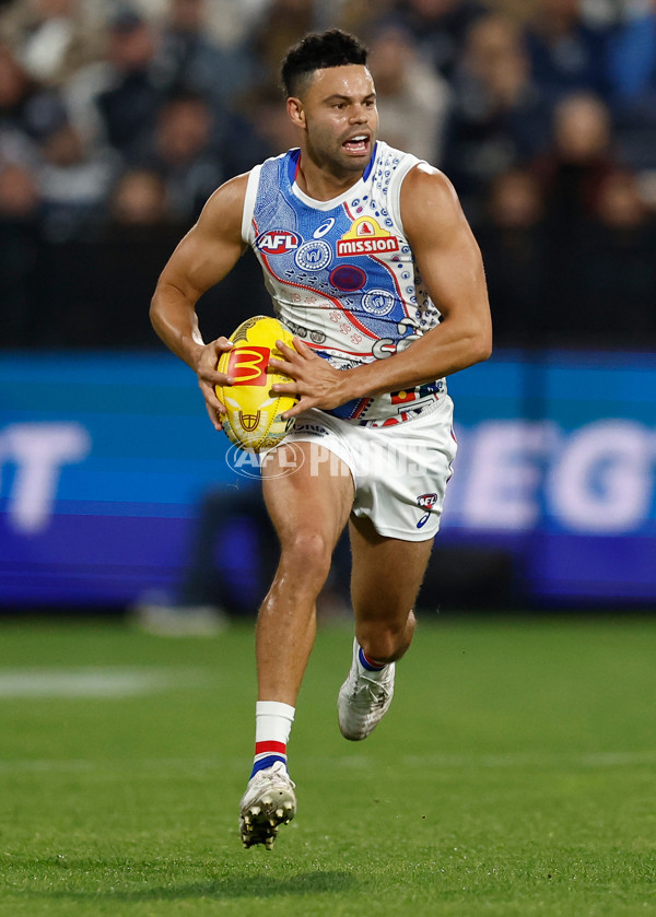 AFL 2025 Round 11 - Geelong v Western Bulldogs - A-2161690