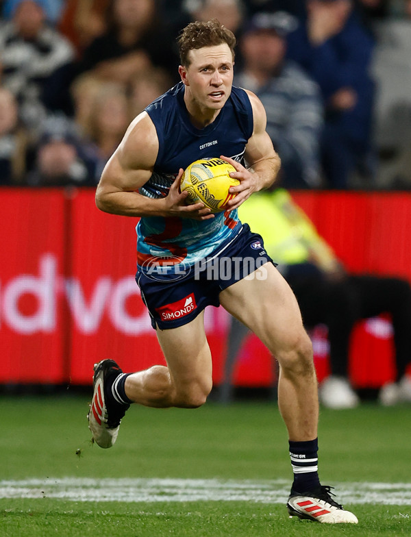 AFL 2025 Round 11 - Geelong v Western Bulldogs - A-2161694