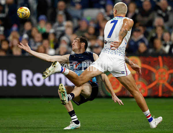 AFL 2025 Round 11 - Geelong v Western Bulldogs - A-2161956