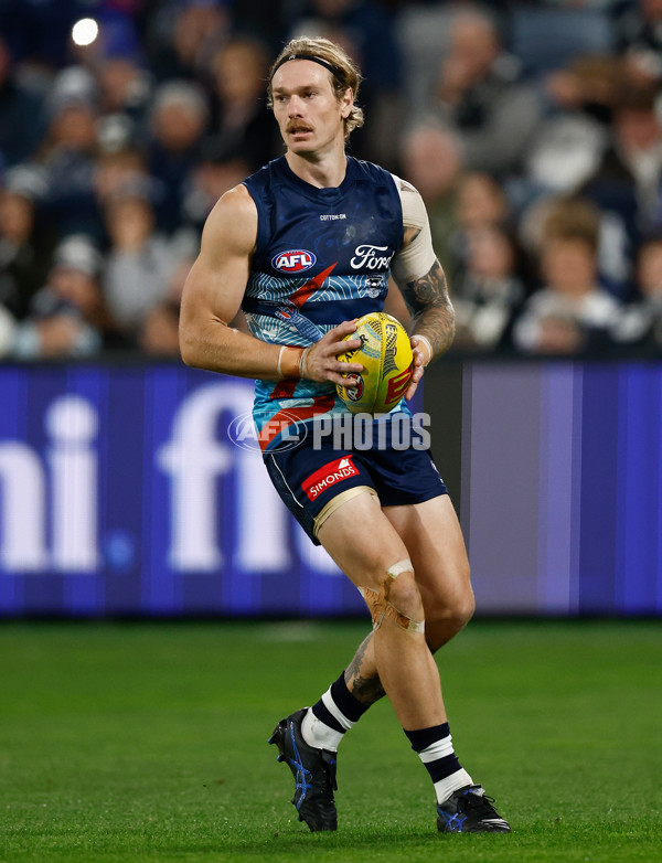 AFL 2025 Round 11 - Geelong v Western Bulldogs - A-2161960