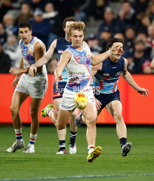 AFL 2025 Round 11 - Geelong v Western Bulldogs - A-2161961