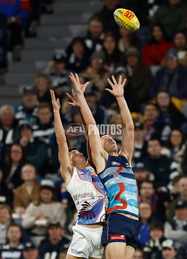 AFL 2025 Round 11 - Geelong v Western Bulldogs - A-2161963