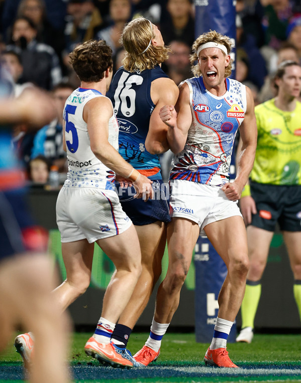 AFL 2025 Round 11 - Geelong v Western Bulldogs - A-2161967