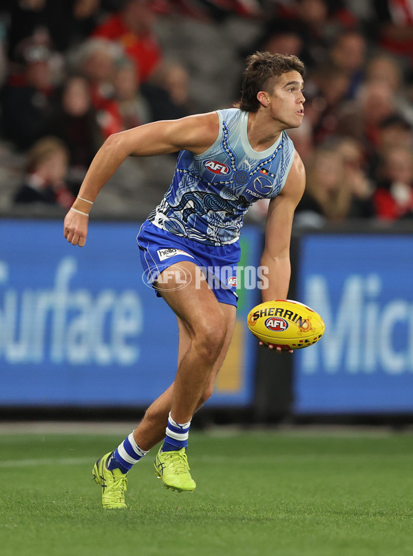 AFL Rd 11 - St Kilda v North Melbourne - A-314903