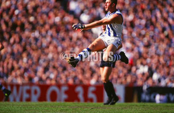 AFL 1999 Grand Final - Carlton v Kangaroos - 28094