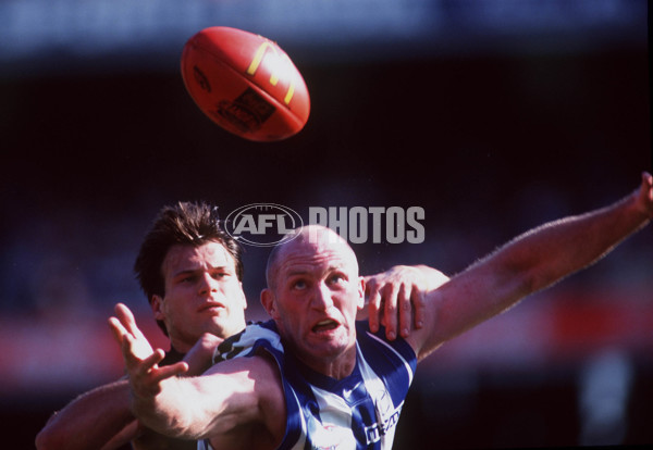AFL 1999 Grand Final - Kangaroos v Carlton - 137673