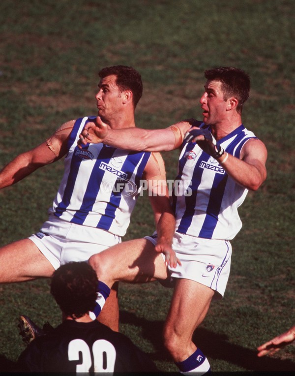 AFL 1999 Grand Final - Kangaroos v Carlton - 137712