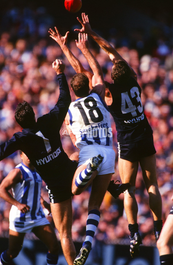 AFL 1999 Grand Final - Carlton v Kangaroos - 28073