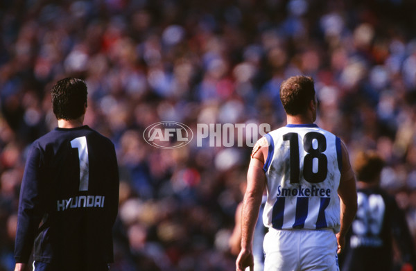 AFL 1999 Grand Final - Carlton v Kangaroos - 28061