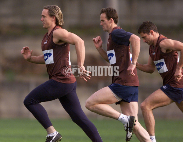 AFL 2001 Media - Hawthorn Training 110901 - 148396