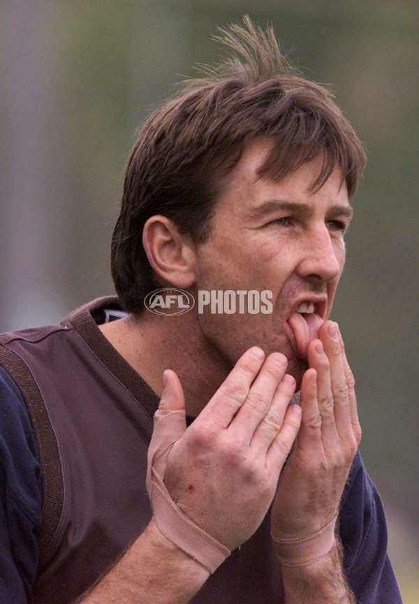 AFL 2001 Media - Hawthorn Training 110901 - 148393