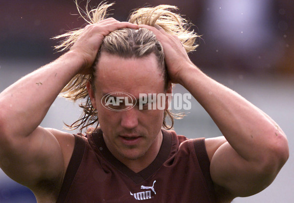 AFL 2001 Media - Hawthorn Training 110901 - 148408