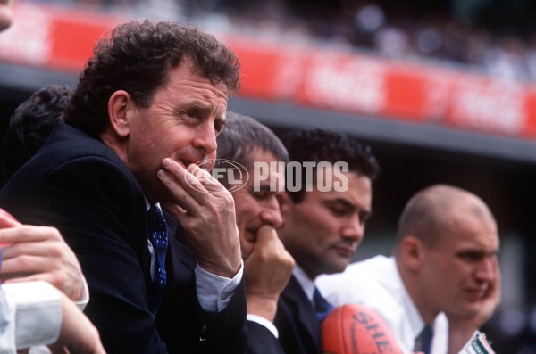 AFL 1999 Grand Final - Kangaroos v Carlton - 137655