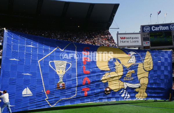 AFL 1992 Grand Final - West Coast v Geelong - 22804