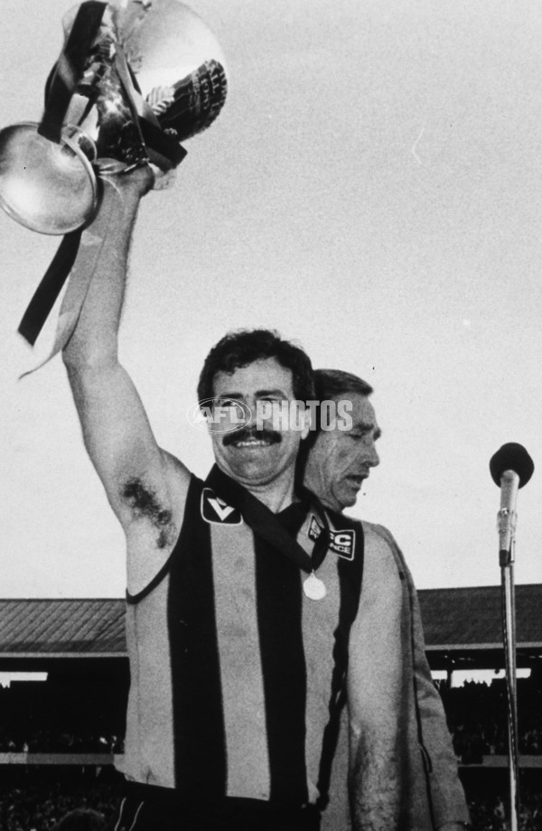 VFL 1983 Grand Final - Hawthorn v Essendon - 23434