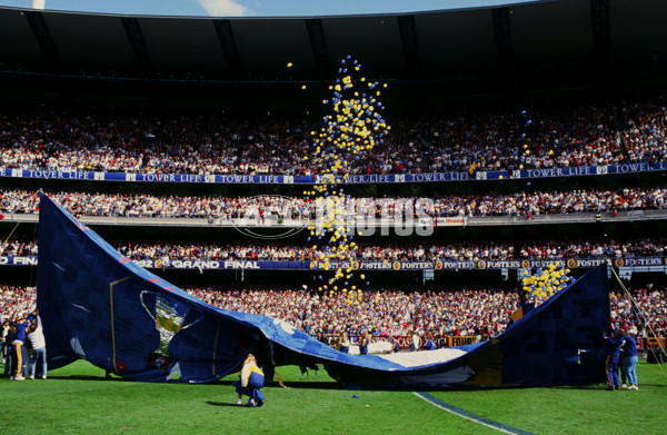 AFL 1992 Grand Final - West Coast v Geelong - 22864