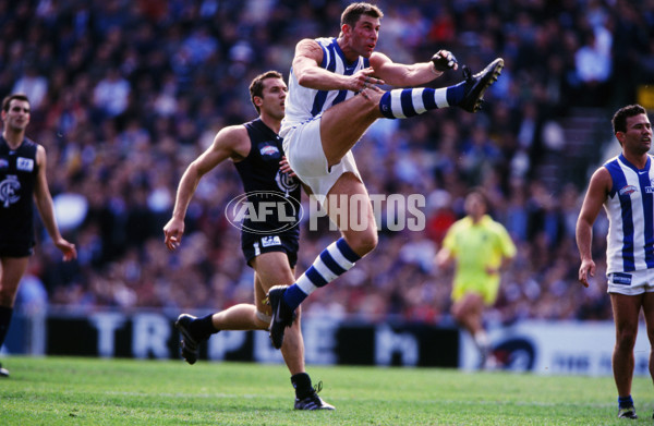 1999 AFL Grand Final - Carlton v Kangaroos - 22271