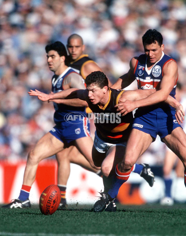 AFL 1997 1st Preliminary Final - Western Bulldogs v Adelaide - 141113