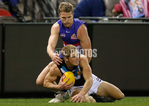 AFL 2015 Rd 19 - Western Bulldogs v Port Adelaide - 394379