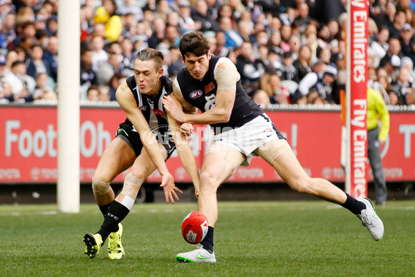 AFL 2015 Rd 19 - Collingwood v Carlton - 394370