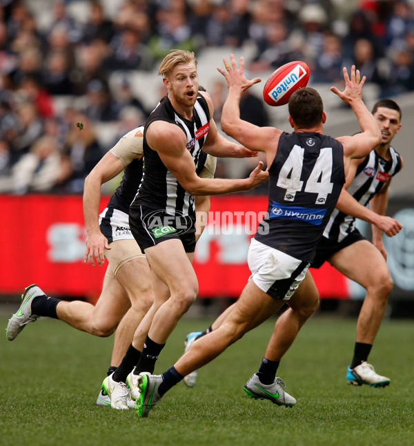 AFL 2015 Rd 19 - Collingwood v Carlton - 394496
