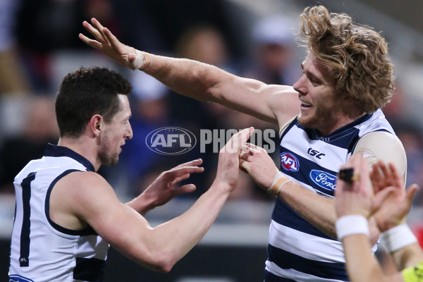 AFL 2015 Rd 19 - Geelong v Sydney - 394569