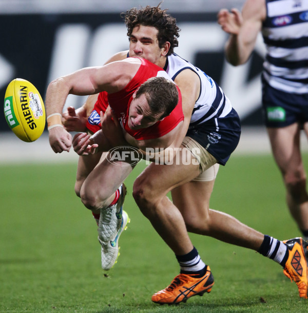 AFL 2015 Rd 19 - Geelong v Sydney - 394656
