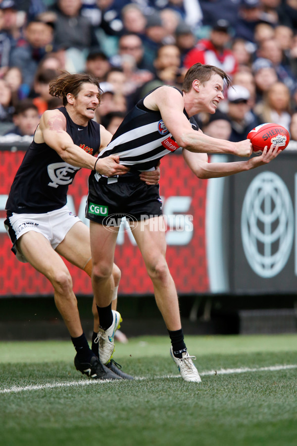 AFL 2015 Rd 19 - Collingwood v Carlton - 394304