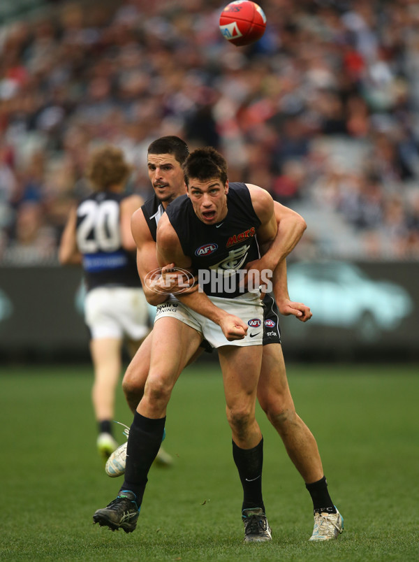 AFL 2015 Rd 19 - Collingwood v Carlton - 394347
