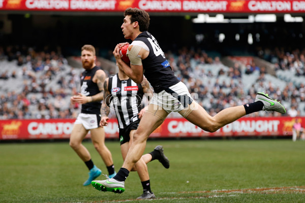 AFL 2015 Rd 19 - Collingwood v Carlton - 394339