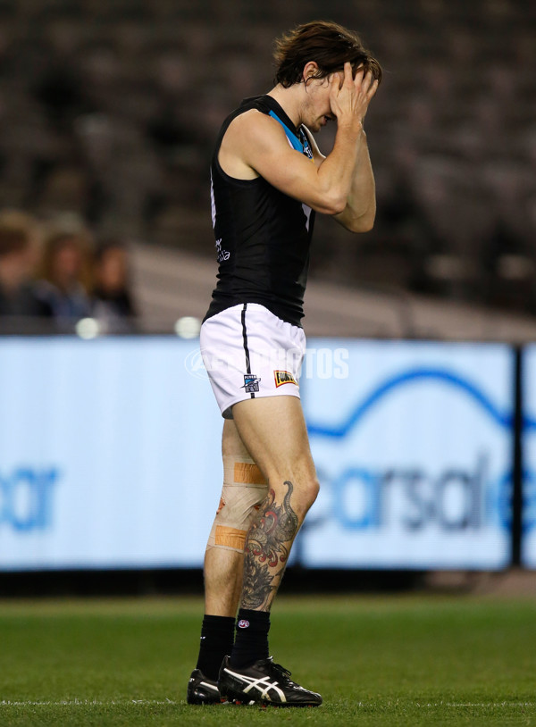 AFL 2015 Rd 19 - Western Bulldogs v Port Adelaide - 394432
