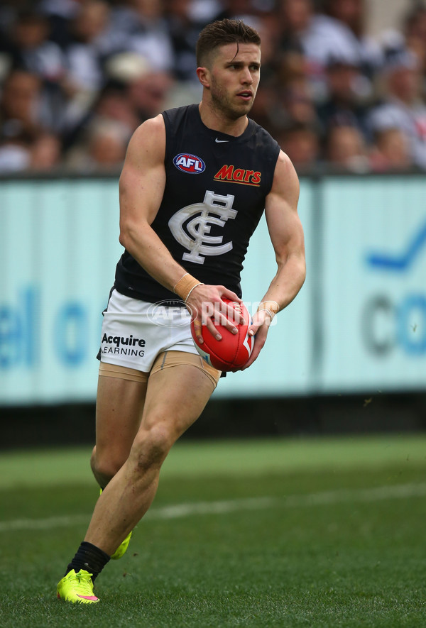 AFL 2015 Rd 19 - Collingwood v Carlton - 394677