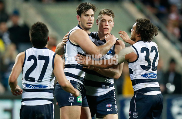 AFL 2015 Rd 19 - Geelong v Sydney - 394636