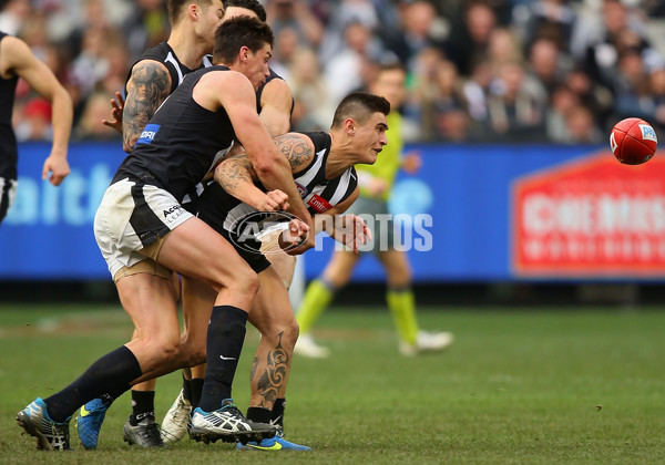 AFL 2015 Rd 19 - Collingwood v Carlton - 394696