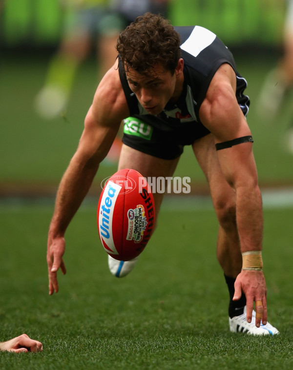 AFL 2015 Rd 19 - Collingwood v Carlton - 394678
