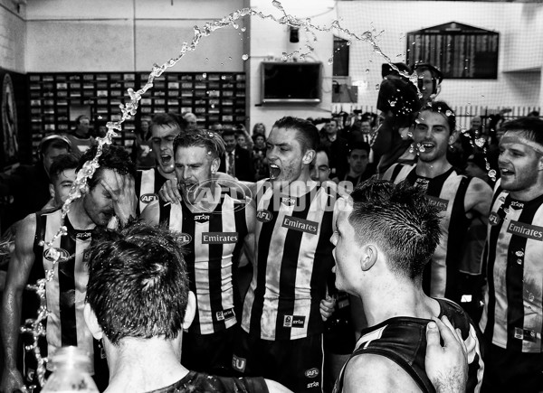 AFL 2015 Rd 19 - Collingwood v Carlton - 394633