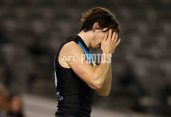 AFL 2015 Rd 19 - Western Bulldogs v Port Adelaide - 394430