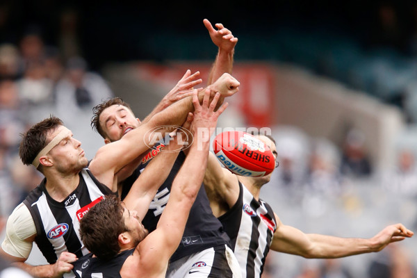AFL 2015 Rd 19 - Collingwood v Carlton - 394343