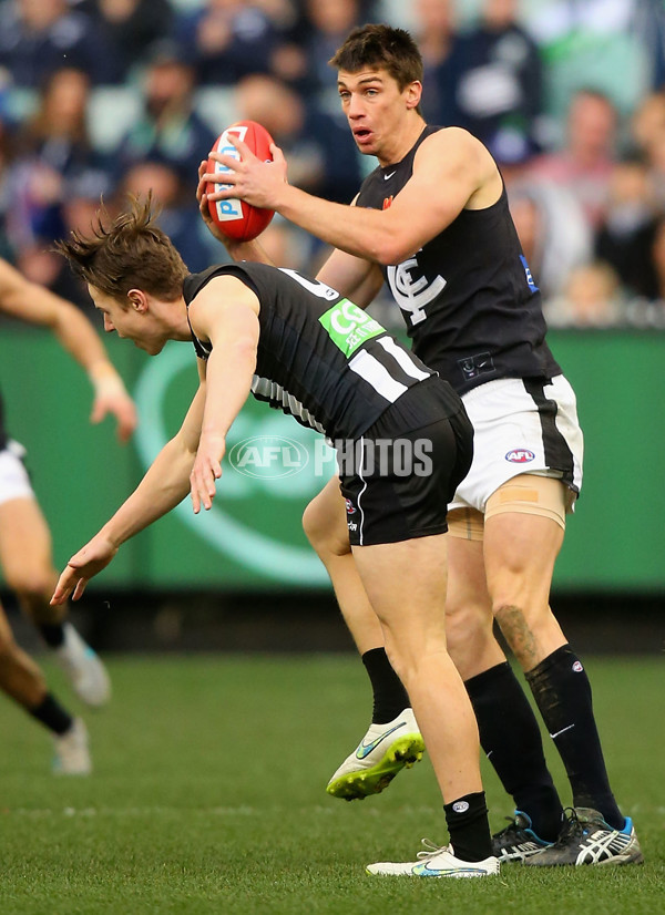 AFL 2015 Rd 19 - Collingwood v Carlton - 394666