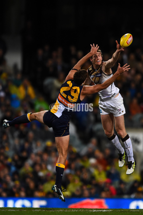 AFL 2015 Rd 19 - West Coast v Hawthorn - 394587