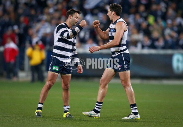 AFL 2015 Rd 19 - Geelong v Sydney - 394802