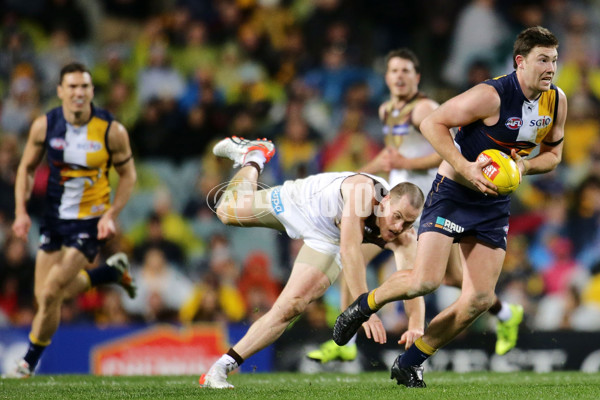 AFL 2015 Rd 19 - West Coast v Hawthorn - 394895