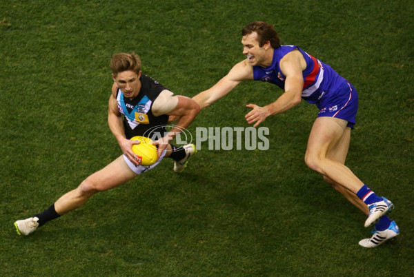 AFL 2015 Rd 19 - Western Bulldogs v Port Adelaide - 394283
