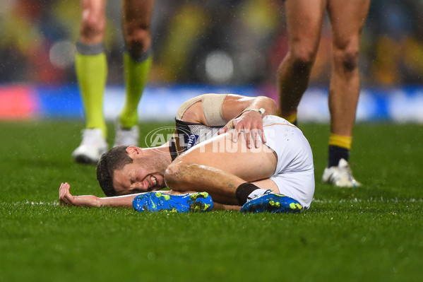 AFL 2015 Rd 19 - West Coast v Hawthorn - 394630