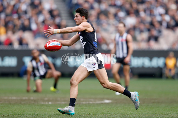 AFL 2015 Rd 19 - Collingwood v Carlton - 394492