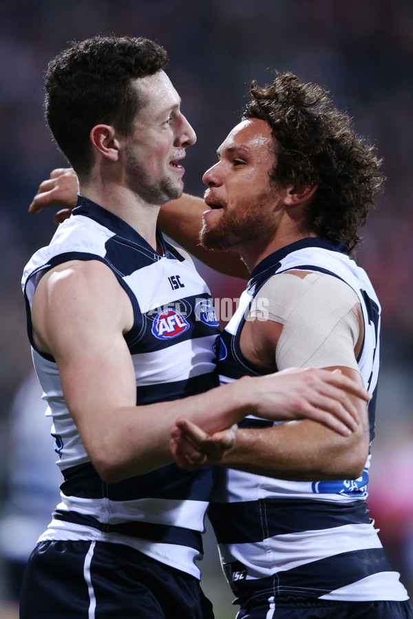 AFL 2015 Rd 19 - Geelong v Sydney - 394525