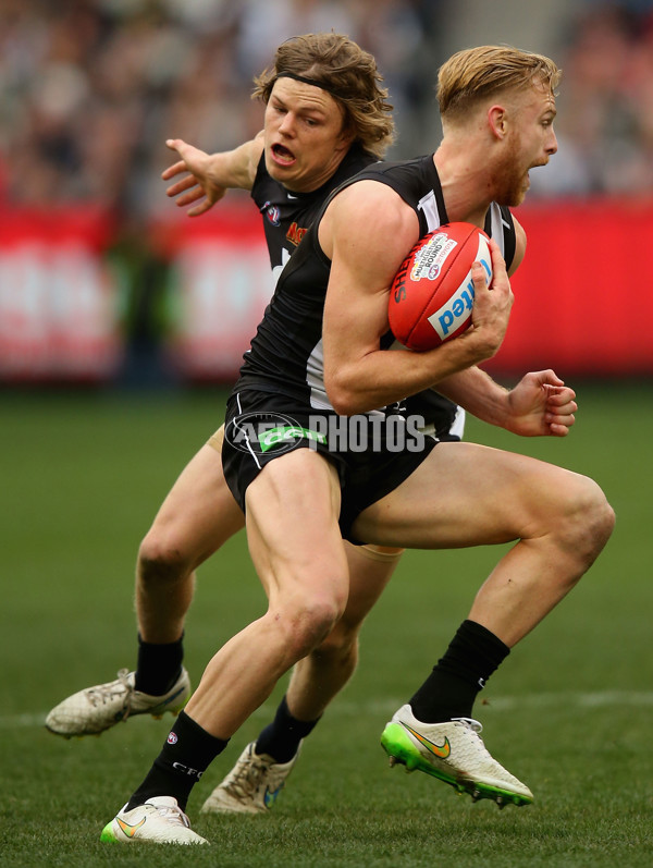 AFL 2015 Rd 19 - Collingwood v Carlton - 394694